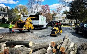 Best Tree and Shrub Care  in Palm Bay, FL